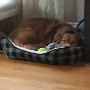 Meet your Posher, Emmy